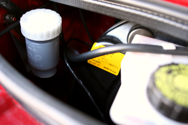 0102 magnifica 3 DPP_0002.JPG